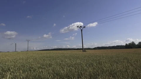 Large view on the powerlines on the field Stock Footage 92301399
