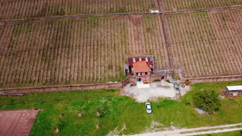 Large vineyard with a house on the mountain Stock Footage 154375429