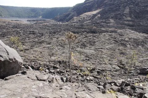 Large volcanic rocks .. Stock Photos