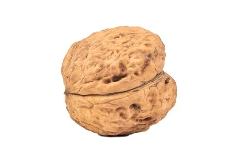 Large walnut isolate Stock Photos