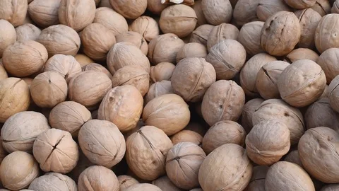 Large walnuts in natural light Stock Footage 111499743