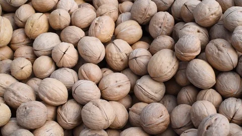 Large walnuts in natural light Video stock 111499754