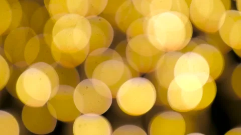 Large Warm Bokeh Vídeo Stock 169504285