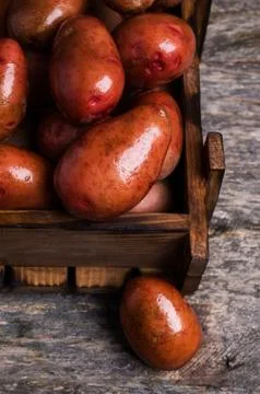 Large washed potatoes Stock Photos