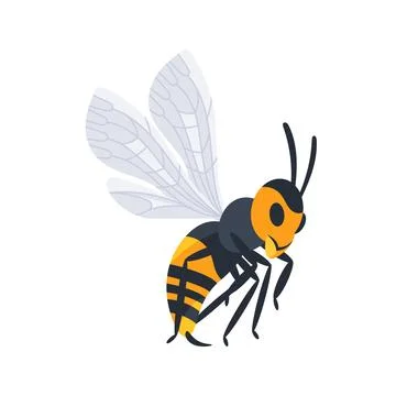 Large wasp flying with spread wings and legs Stock Illustration
