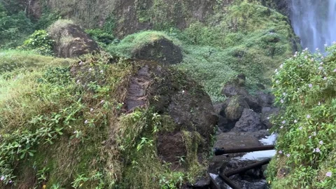 Large Waterfall Cascading Down Rocky Cliff in Tropical Forest Valley Pan Up Stock Footage 323908938