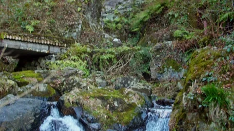 Large waterfall deep in the forest Stock Footage 261351108
