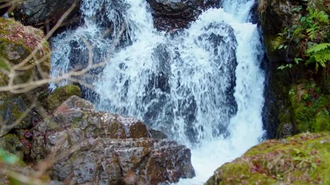 Large waterfall deep in the forest Stock Footage 261351114