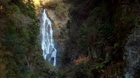 Large waterfall deep in the forest Stock Footage 261351130