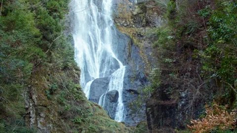 Large waterfall deep in the forest Stock Footage 261351143