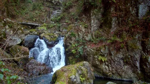 Large waterfall deep in the forest Stock Footage 261351145