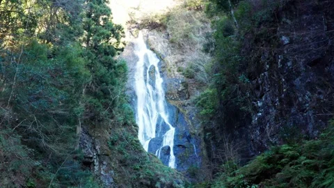 Large waterfall deep in the forest Stock Footage 261351386