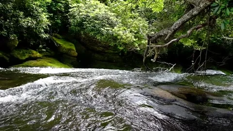 Large Waterfall - Fast flowing water over edge WIDE - Slow Motion Stock Footage 244180206