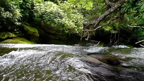 Large Waterfall - Flowing water over edge WIDE variation- Slow Motion Stock Footage 244180207