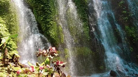 A large waterfall flows over the greenery. 库存照片