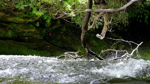 Large Waterfall - Following fast flowing water over edge - Slow Motion Stock Footage 244180189