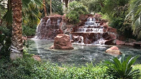 Large Waterfall Stock Footage 107446205