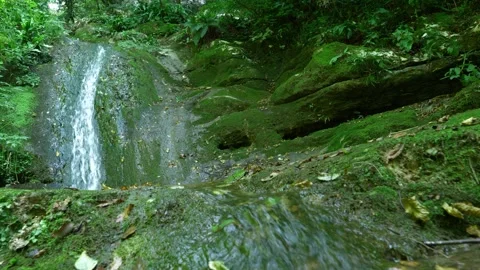 A large waterfall in a forest 库存影片 156845676