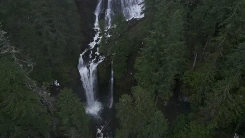Large Waterfall in the Forest Stock Footage 190731509