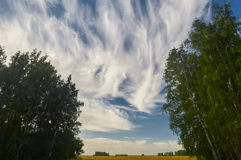 A large waterfall in a forest Stock Photos