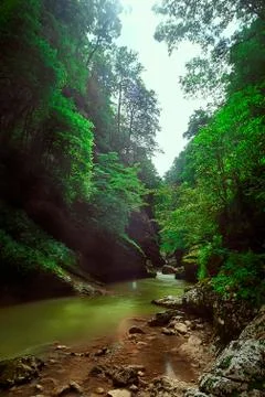 A large waterfall in a forest Stock Photos