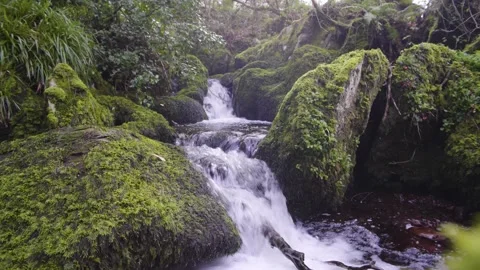 A large waterfall next to a rock Stock Footage 156024496