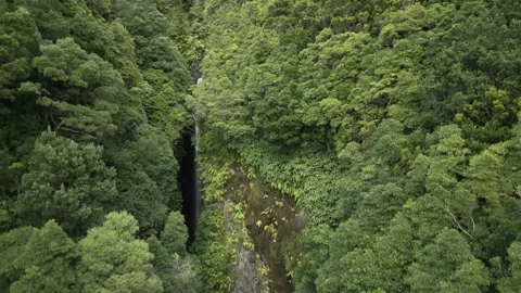 Large waterfall surrounded by green vegetation on São Jorge, Azores Video stock 224646518