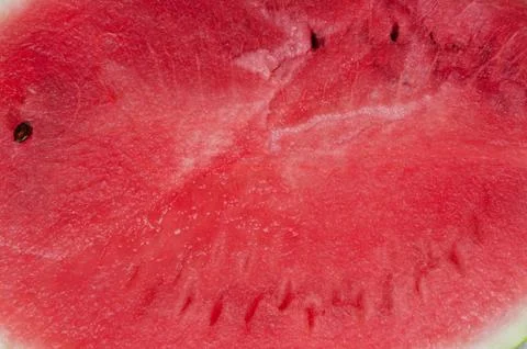 Large watermelon Stock Photos