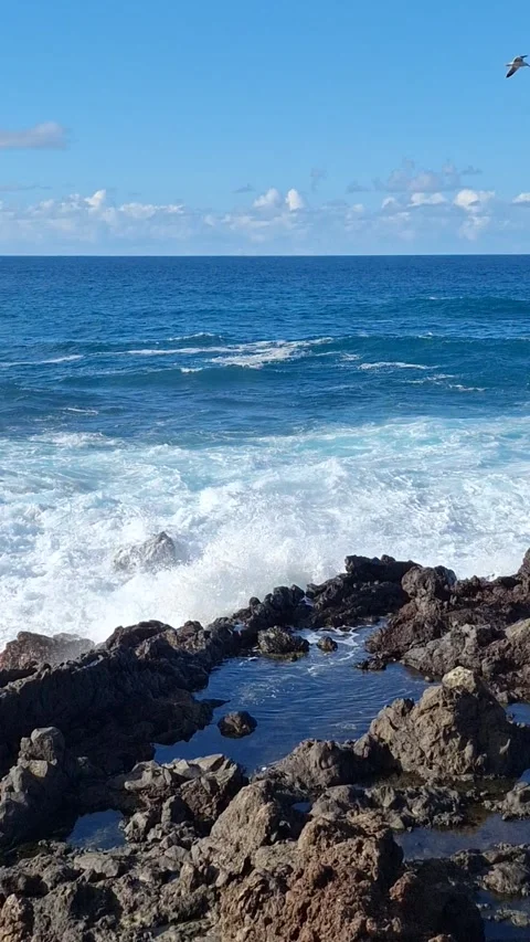 Large waves and black rocks in the Atlantic Ocean. Tenerife Stock Footage 337799047