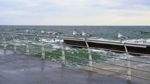Large waves broken down with great force on the pier in slow motion Stock Footage 82529742
