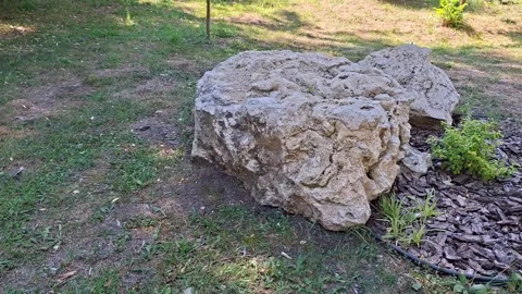 Large Weathered Limestone Rock Resting in a Sunny Garden Landscape Stock-Footage 343883601