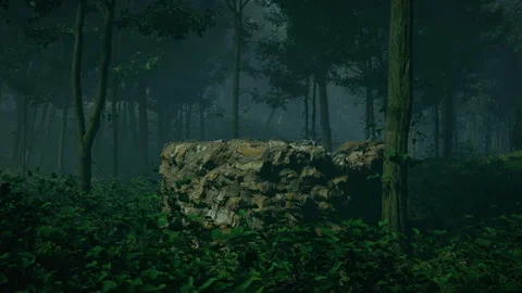 A large, weathered well sits in a dense dark forrest Stock Footage 309072160