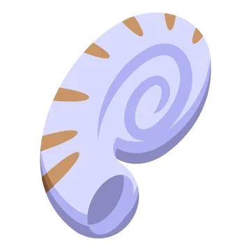 Large whelk shell showing spiral pattern and opening Stock Illustration