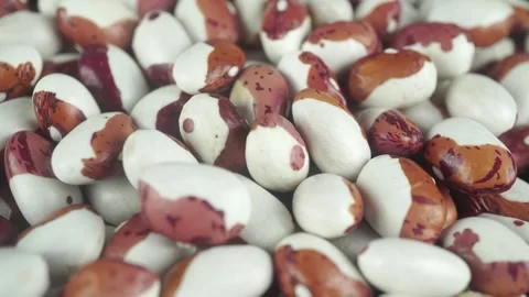 Large White And Red Drain Beans For Long-Term Storage And Cooking. Stock Footage 319762042