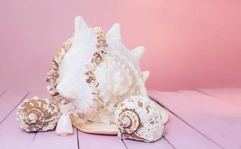 Large white and small seashells and beach beads Stock Photos