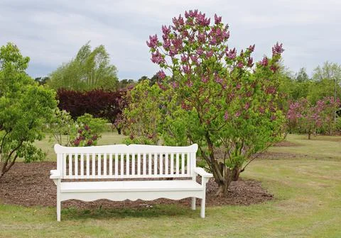 Large white bench in the garden between the flowering bushes of a beautiful l Stock Photos