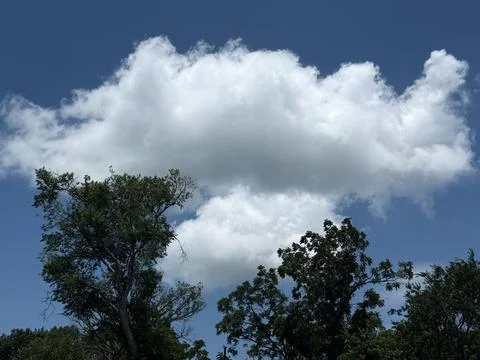 Large White Cloud Floating Above Summer Trees Stock Photos