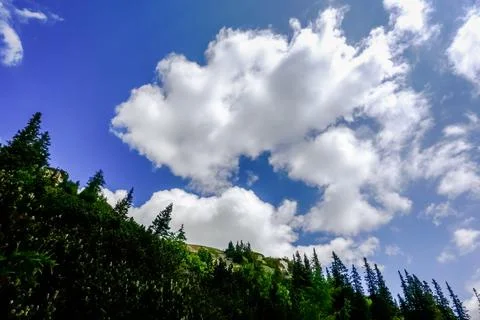 Large white clouds on the blue sky and green landscape Stock Photos