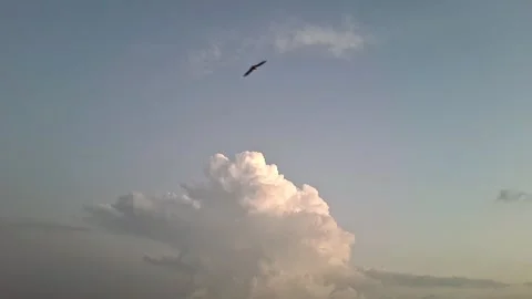Large White Cumulus Cloud In Clear Sky Vídeo Stock 334098588