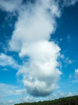 Large white cumulus cloud rising above a treeline against a deep blue sky, Stock Photos