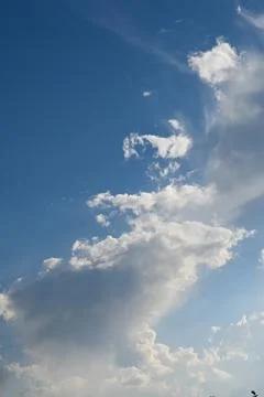 Large white cumulus clouds drift across a clear blue sky in a vertical compos Photos