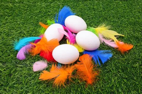 Large White Easter Eggs with Colorful Dyed Feathers on Green Artificial Grass Stock Photos
