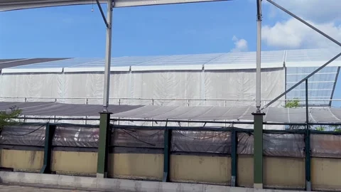 Large white event tent structure viewed from a rooftop under blue sky Stock Footage 324749340