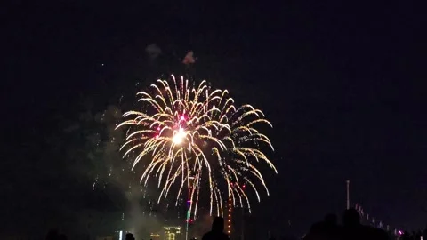 Large White Fireworks in the Night Sky and Spectator Silhouettes Stock Footage 341623998