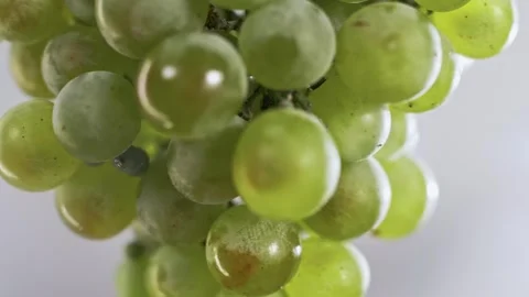 Large white grape berries on a 360 degree rotating bunch. Stock Footage 268744764