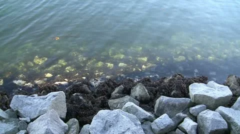 Large White Rocks By The Shimmering Waters Edge Stock Footage 16432662