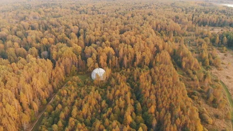 Large white sphere with hole on top located in dense forest Stock Footage 152586065