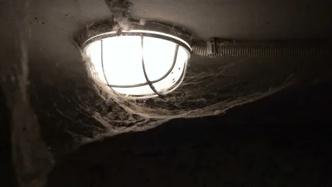 A large white spider web hangs on a lamp in a dark basement and sways in the Stock Footage 163516298
