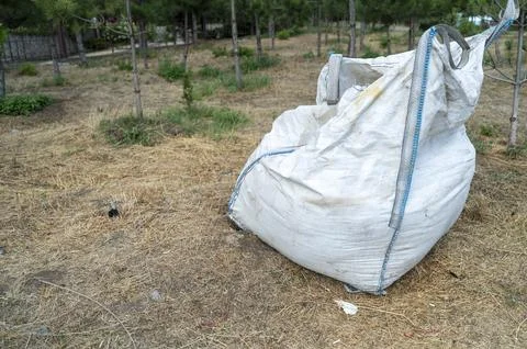 Large white trash bag full of litter on a paved park walkway after a spring Stock Photos