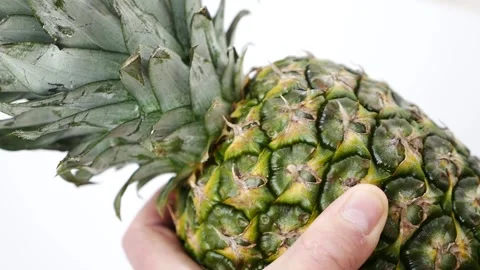 Large whole pineapple in a human hand,close-up pineapple fruit, Stock Footage 237189181